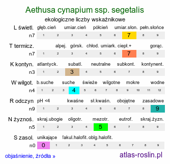 ekologiczne liczby wskaźnikowe Aethusa cynapium ssp. segetalis (blekot pospolity polny)