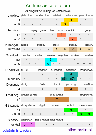 ekologiczne liczby wskaźnikowe Anthriscus cerefolium (trybula ogrodowa)