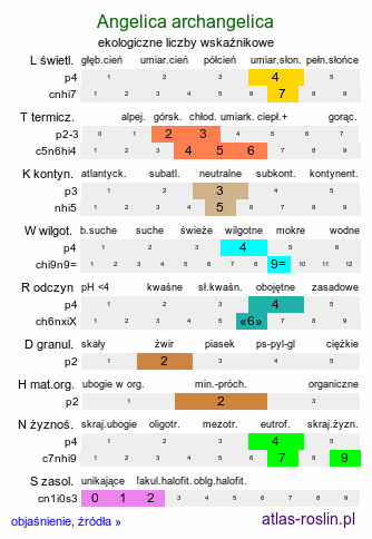 ekologiczne liczby wskaźnikowe Angelica archangelica (dzięgiel litwor)