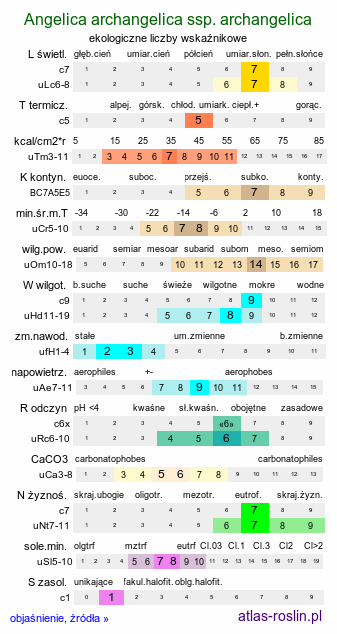 ekologiczne liczby wskaźnikowe Angelica archangelica ssp. archangelica (dzięgiel litwor typowy)
