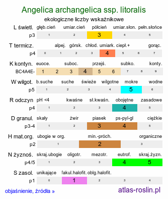 ekologiczne liczby wskaźnikowe Angelica archangelica ssp. litoralis (dzięgiel litwor nadbrzeżny)