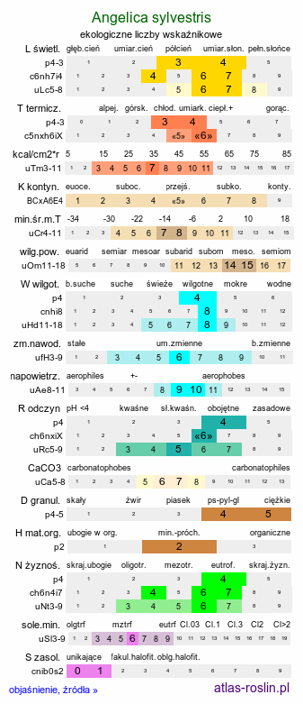 ekologiczne liczby wskaźnikowe Angelica sylvestris (dzięgiel leśny)