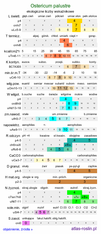 ekologiczne liczby wskaźnikowe Ostericum palustre (starodub łąkowy)