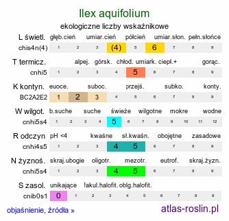 ekologiczne liczby wskaźnikowe Ilex aquifolium (ostrokrzew kolczasty)