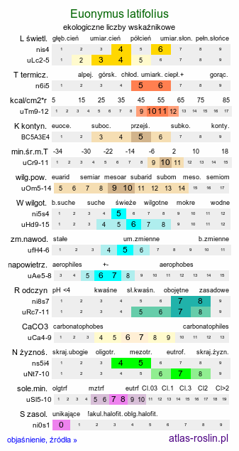ekologiczne liczby wskaźnikowe Euonymus latifolius (trzmielina szerokolistna)