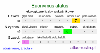 ekologiczne liczby wskaźnikowe Euonymus alatus (trzmielina oskrzydlona)