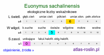 ekologiczne liczby wskaźnikowe Euonymus sachalinensis (trzmielina sachalińska)