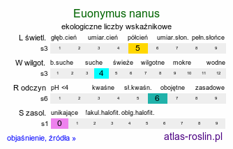 ekologiczne liczby wskaźnikowe Euonymus nanus (trzmielina niska)