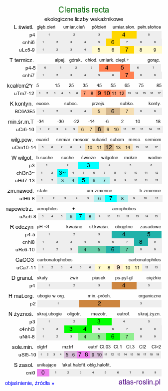 ekologiczne liczby wskaźnikowe Clematis recta (powojnik prosty)