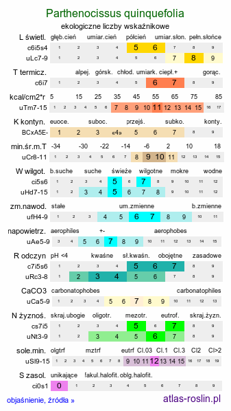 ekologiczne liczby wskaźnikowe Parthenocissus quinquefolia (winobluszcz pięciolistkowy)