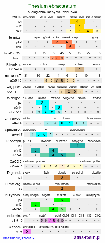ekologiczne liczby wskaźnikowe Thesium ebracteatum (leniec bezpodkwiatkowy)