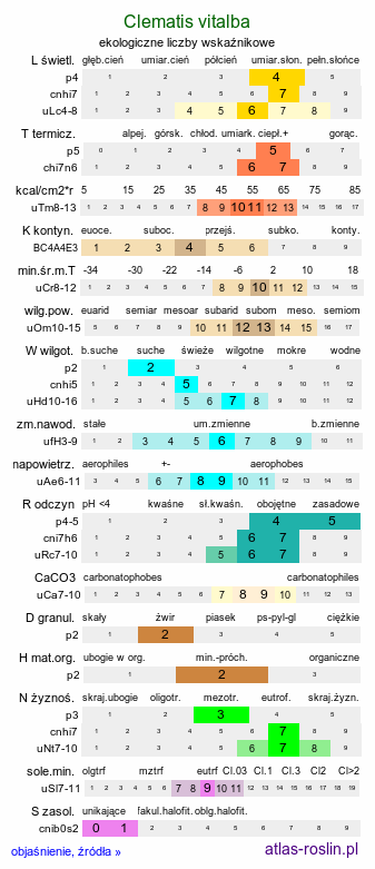 ekologiczne liczby wskaźnikowe Clematis vitalba (powojnik pnący)