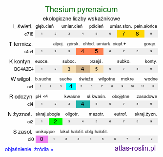 ekologiczne liczby wskaźnikowe Thesium pyrenaicum (leniec łąkowy)