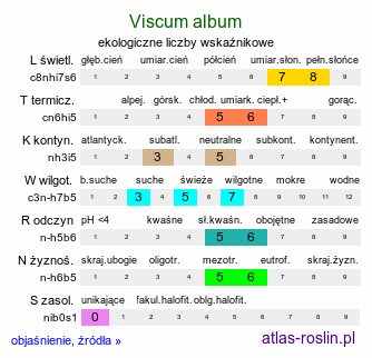 ekologiczne liczby wskaźnikowe Viscum album (jemioła pospolita)