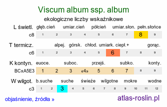 ekologiczne liczby wskaźnikowe Viscum album ssp. album (jemioła pospolita typowa)