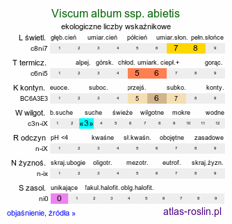 ekologiczne liczby wskaźnikowe Viscum album ssp. abietis (jemioła pospolita jodłowa)