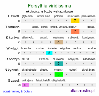 ekologiczne liczby wskaźnikowe Forsythia viridissima (forsycja zielona)