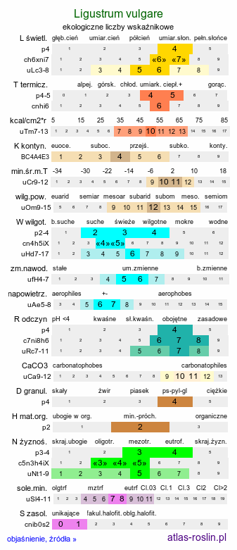 ekologiczne liczby wskaźnikowe Ligustrum vulgare (ligustr pospolity)