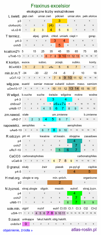 ekologiczne liczby wskaźnikowe Fraxinus excelsior (jesion wyniosły)