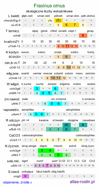 ekologiczne liczby wskaźnikowe Fraxinus ornus (jesion mannowy)