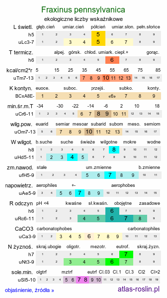 ekologiczne liczby wskaźnikowe Fraxinus pennsylvanica (jesion pensylwański)