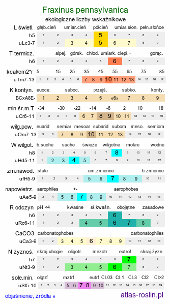 ekologiczne liczby wskaźnikowe Fraxinus pennsylvanica (jesion pensylwański)