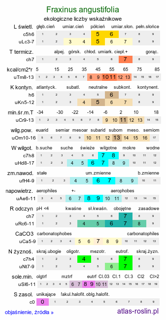 ekologiczne liczby wskaźnikowe Fraxinus angustifolia (jesion wąskolistkowy)