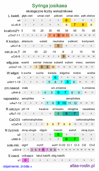 ekologiczne liczby wskaźnikowe Syringa josikaea (lilak Josiki)