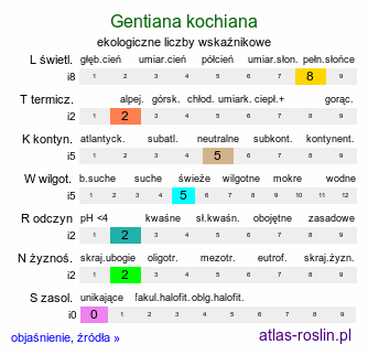 ekologiczne liczby wskaźnikowe Gentiana kochiana (goryczka Kocha)