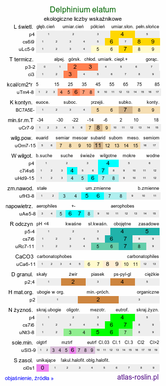 ekologiczne liczby wskaźnikowe Delphinium elatum (ostróżka wyniosła)