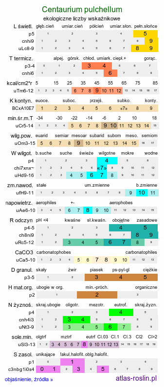 ekologiczne liczby wskaźnikowe Centaurium pulchellum (centuria nadobna)