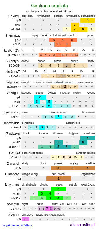 ekologiczne liczby wskaźnikowe Gentiana cruciata (goryczka krzyżowa)