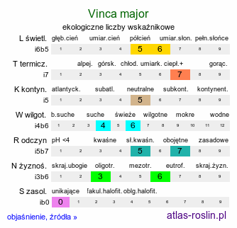 ekologiczne liczby wskaźnikowe Vinca major (barwinek większy)