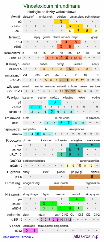 ekologiczne liczby wskaźnikowe Vincetoxicum hirundinaria (ciemiężyk białokwiatowy)