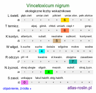 ekologiczne liczby wskaźnikowe Vincetoxicum nigrum