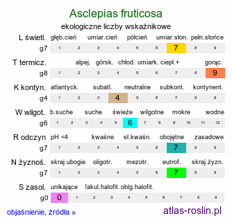 ekologiczne liczby wskaźnikowe Asclepias fruticosa