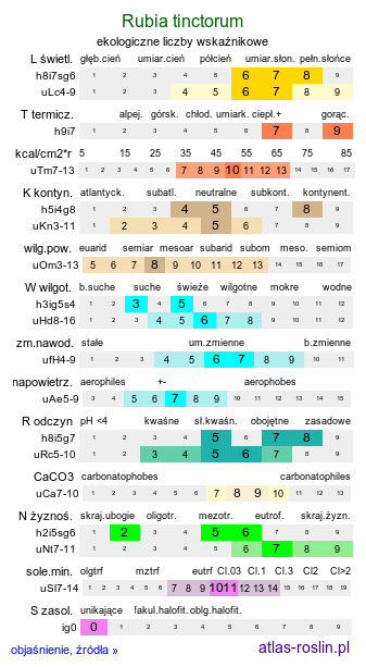 ekologiczne liczby wskaźnikowe Rubia tinctorum (marzana barwierska)