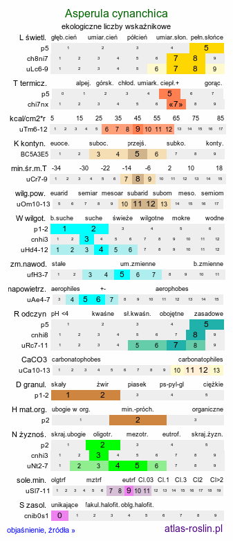 ekologiczne liczby wskaźnikowe Asperula cynanchica (marzanka pagórkowa)