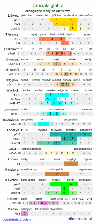 ekologiczne liczby wskaźnikowe Cruciata glabra (przytulinka wiosenna)