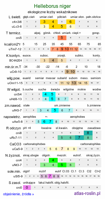 ekologiczne liczby wskaźnikowe Helleborus niger (ciemiernik biały)