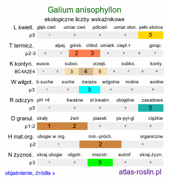 ekologiczne liczby wskaźnikowe Galium anisophyllon (przytulia nierównolistna)