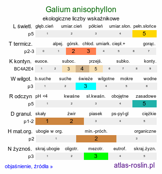 ekologiczne liczby wskaźnikowe Galium anisophyllon (przytulia nierównolistna)