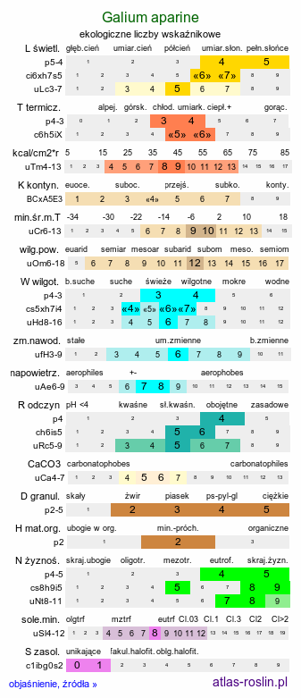 ekologiczne liczby wskaźnikowe Galium aparine (przytulia czepna)