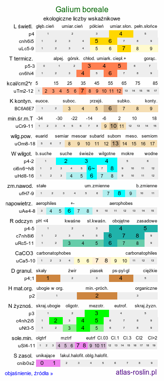 ekologiczne liczby wskaźnikowe Galium boreale (przytulia północna)