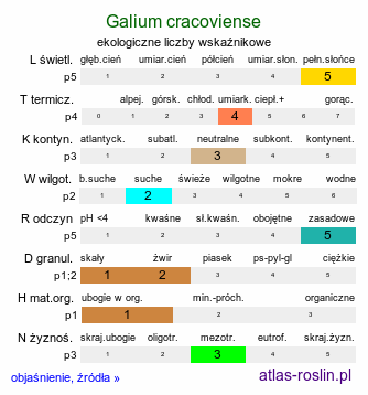 ekologiczne liczby wskaźnikowe Galium cracoviense (przytulia krakowska)