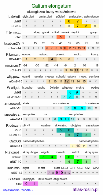 ekologiczne liczby wskaźnikowe Galium elongatum (przytulia wydłużona)