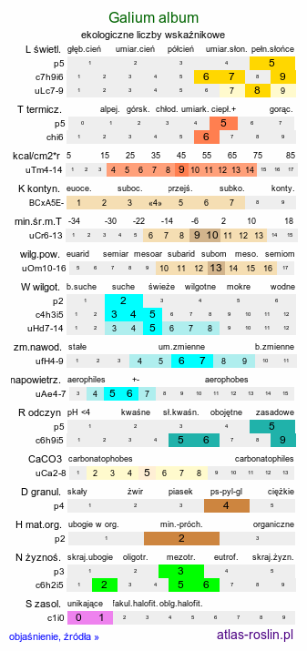 ekologiczne liczby wskaźnikowe Galium album (przytulia biała)