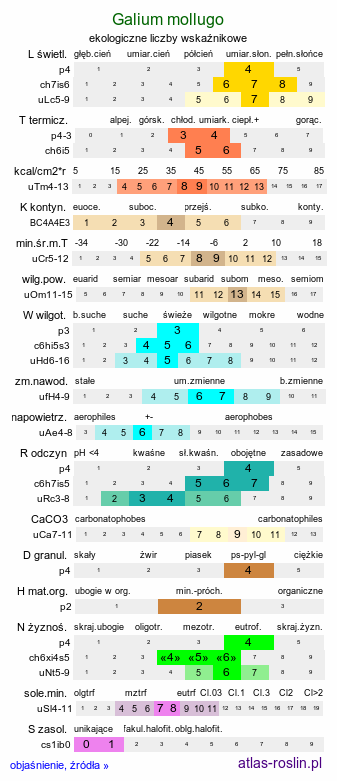 ekologiczne liczby wskaźnikowe Galium mollugo s.str. (przytulia pospolita s.str.)