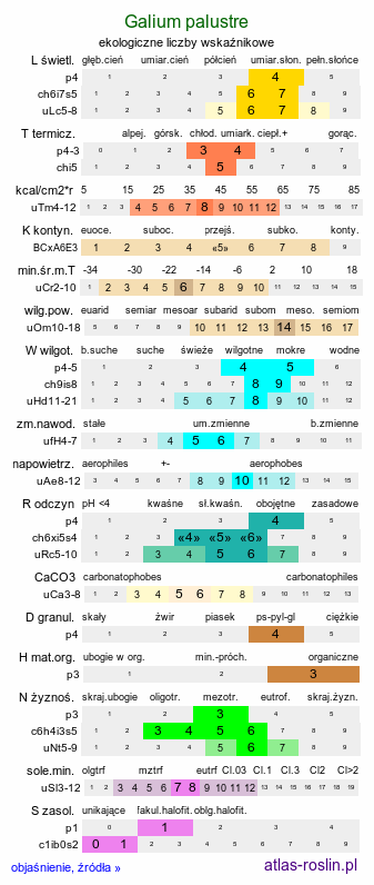 ekologiczne liczby wskaźnikowe Galium palustre (przytulia błotna)