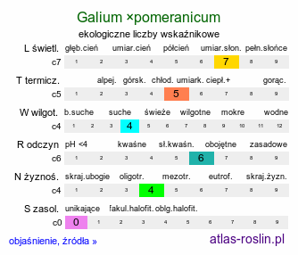 ekologiczne liczby wskaźnikowe Galium ×pomeranicum